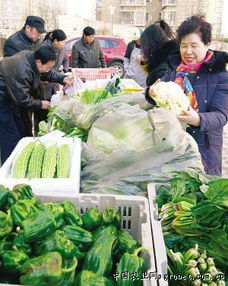 新鮮蔬菜進(jìn)社區(qū)，惠民平價(jià)暖人心——天津市精品蔬菜平價(jià)直供社區(qū)紀(jì)實(shí)