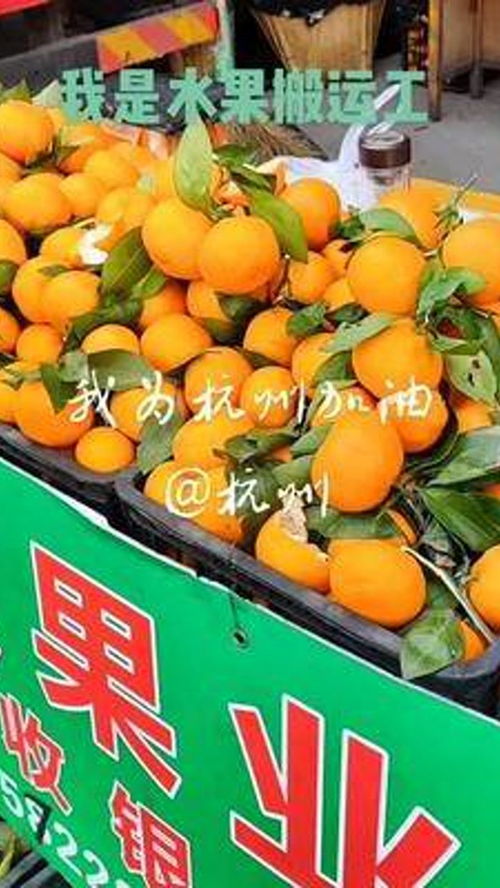 品味自然之鮮 當季優質農產品的味蕾盛宴