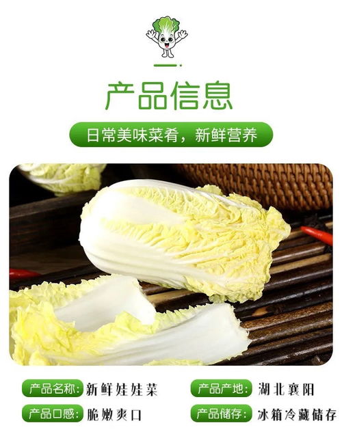 娃娃菜，火鍋中的一抹鮮甜