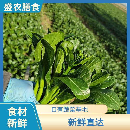 東莞虎門鎮(zhèn)單位學(xué)校食堂生鮮食材供應(yīng)新典范 專業(yè)承包與新鮮蔬菜配送服務(wù)