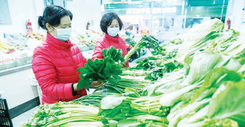 年內消費物價平穩運行，新鮮蔬菜價格走勢溫和